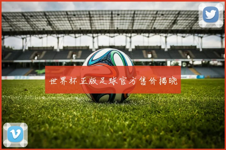 世界杯正版足球官方售价揭晓