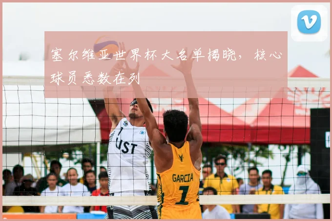 塞尔维亚世界杯大名单揭晓,核心球员悉数在列