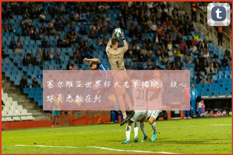 塞尔维亚世界杯大名单揭晓,核心球员悉数在列
