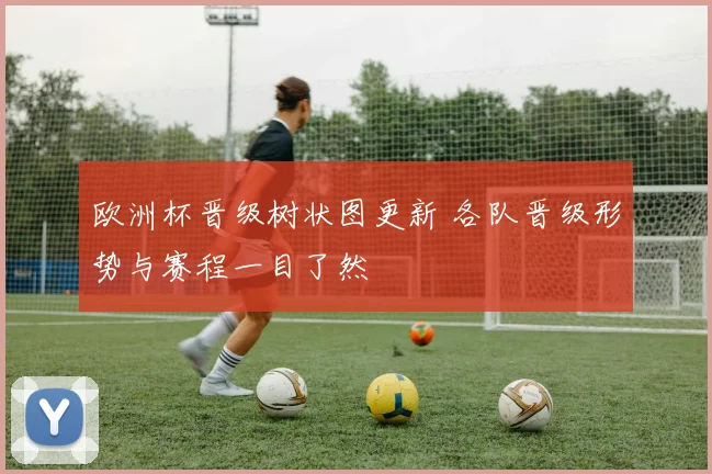 欧洲杯晋级树状图更新 各队晋级形势与赛程一目了然