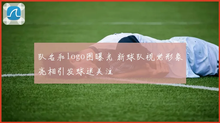 队名和logo图曝光 新球队视觉形象亮相引发球迷关注