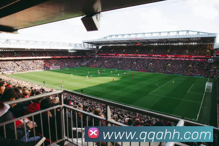 半岛网页版官网发展历程